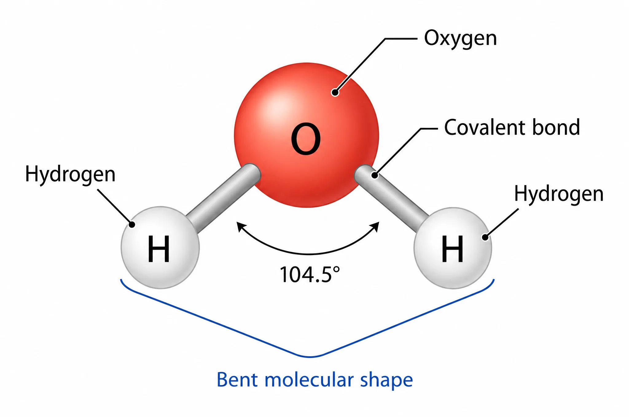 Water Molecule diagram