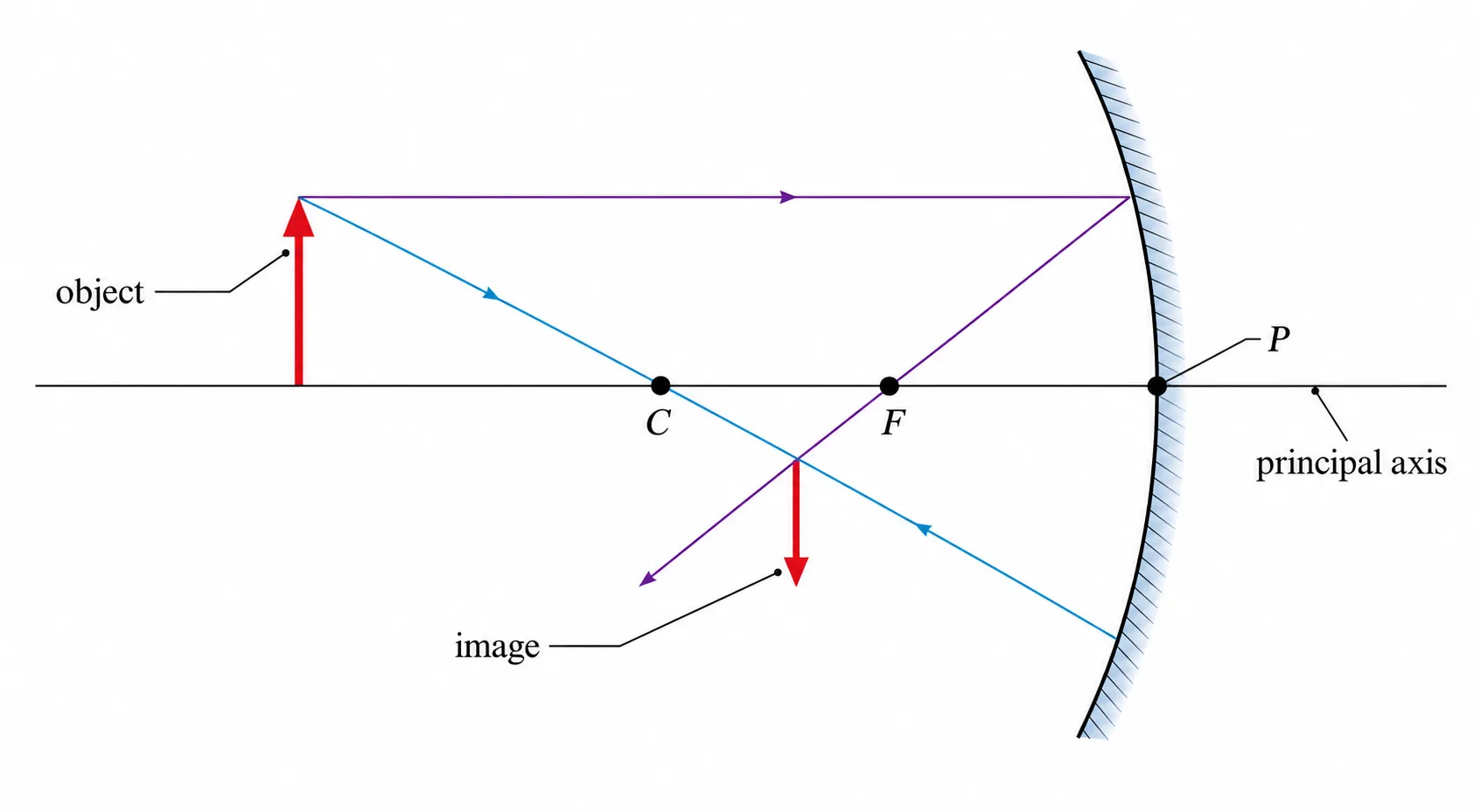 Labelled ray diagram for a concave mirror showing the centre of curvature, focal point, and pole